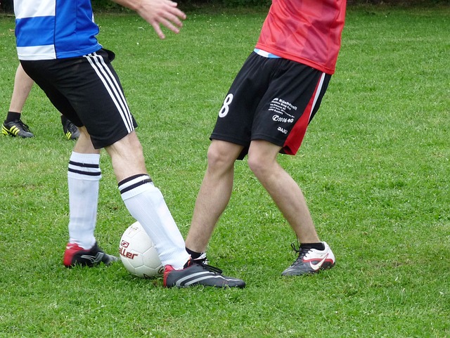 原则的广泛 原则的广泛