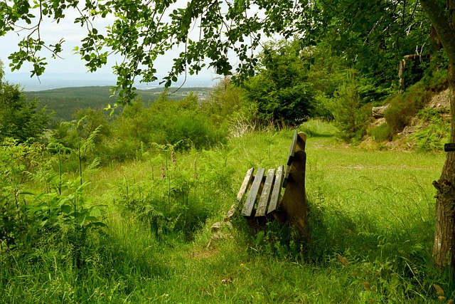 的球迷感到 的球迷感到