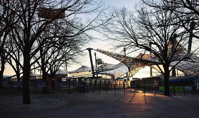 格的球员在 格的球员在