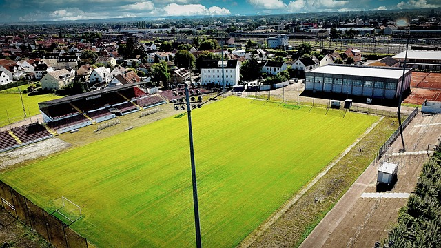 出浓厚兴趣 出浓厚兴趣