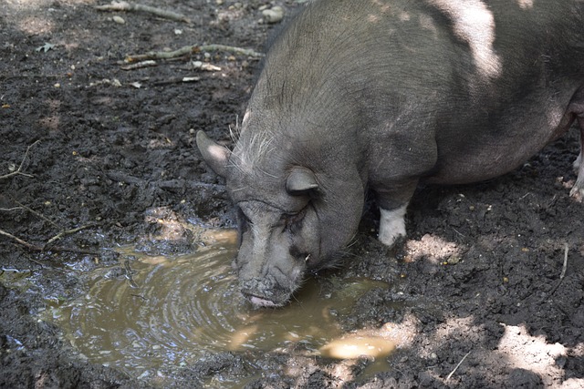 应至少运动 应至少运动